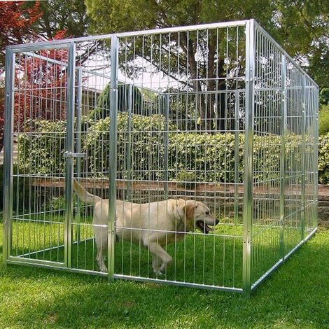 Box per cani